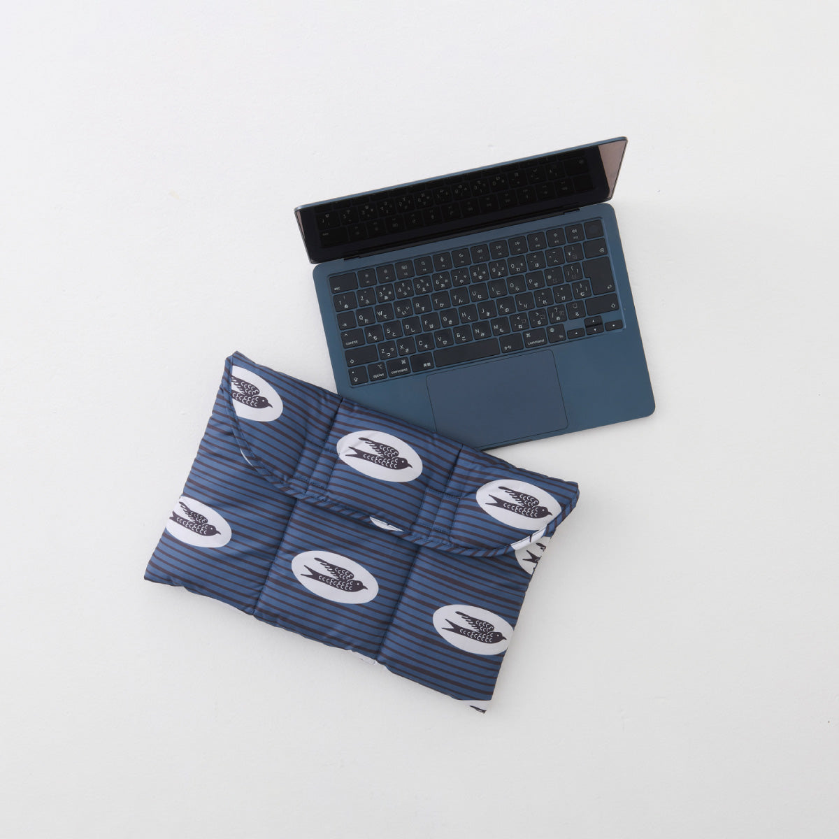 PC case "swallow"